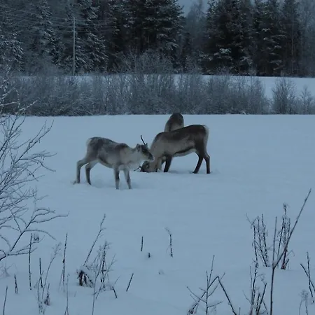 Dağ evi Lovely By Ounasjoki *