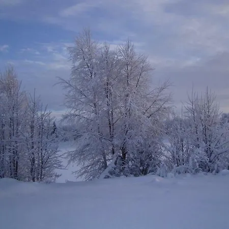 Lovely By Ounasjoki Dağ evi Marraskoski