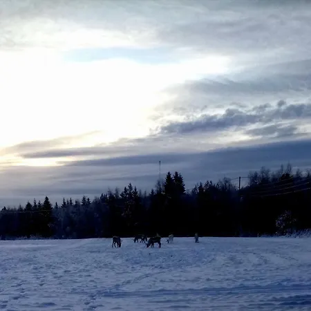 Domek alpejski Lovely By Ounasjoki Marraskoski