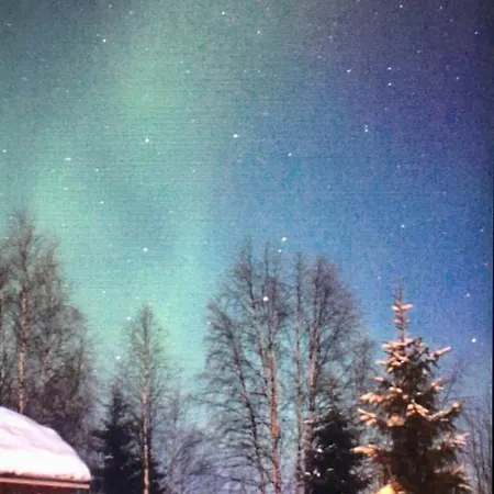 Lovely By Ounasjoki *