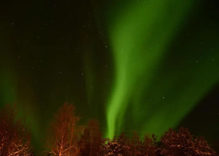 Lovely By Ounasjoki Alpstuga