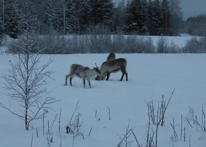 Alpstuga Lovely By Ounasjoki *