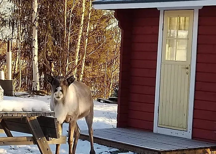 Lovely By Ounasjoki Alpstuga Marraskoski