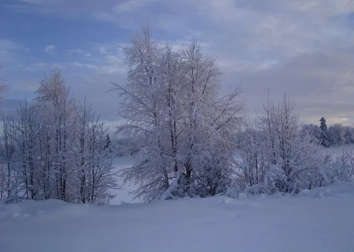 Lovely By Ounasjoki Alpstuga Marraskoski