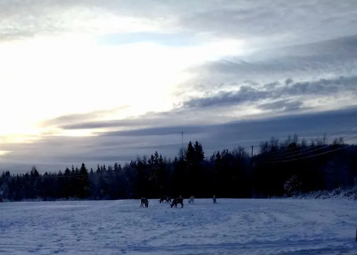 Alpstuga Lovely By Ounasjoki Marraskoski