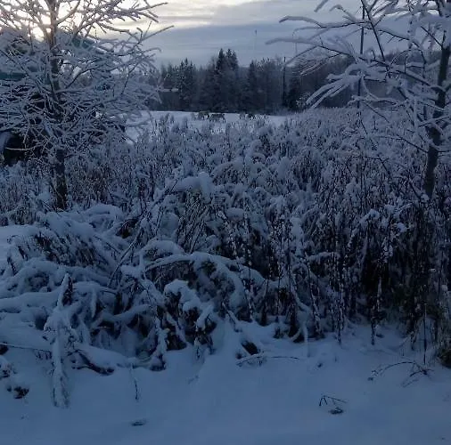 Alpstuga Lovely By Ounasjoki